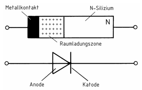 Zeichnung: Eckart Moltrecht