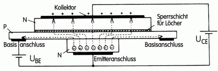 Zeichnung: Eckart Moltrecht