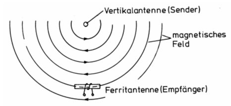 Zeichnung: Eckart Moltrecht